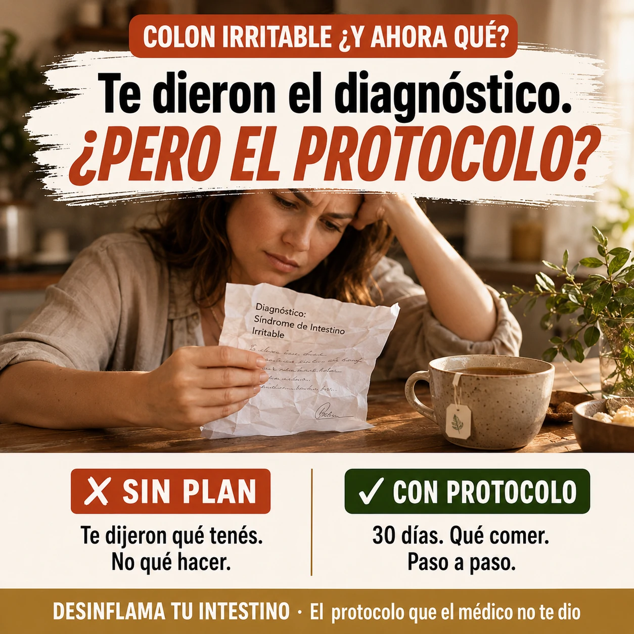 Contenido del programa
